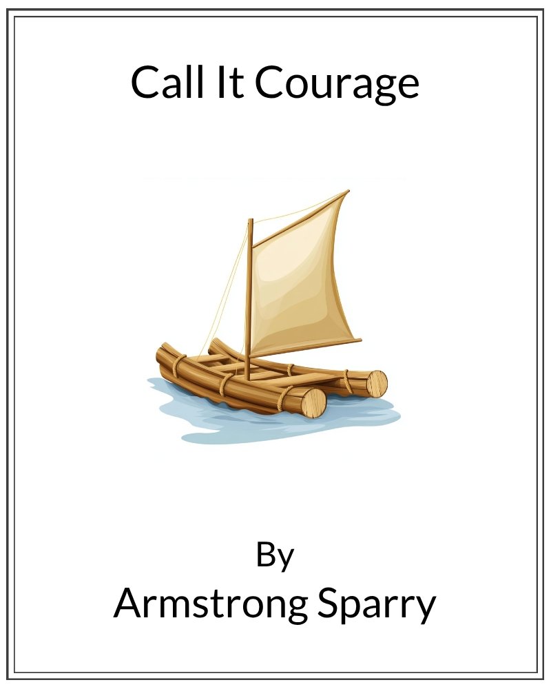Cover image for Call It Courage